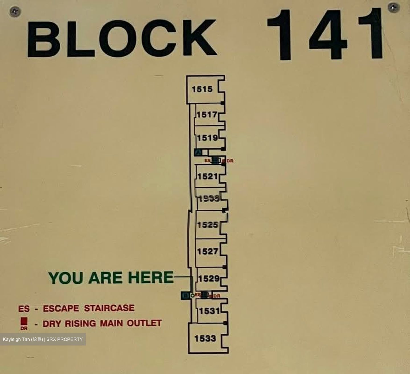Blk 141 Eunos Spring (Bedok), HDB 4 Rooms #552093301